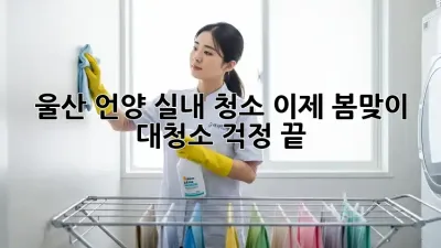 울산 언양 실내 청소🧹 이제 봄맞이 대청소 걱정 끝!