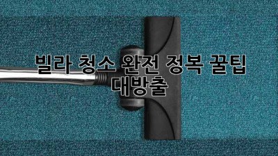 ✨빌라 청소 완전 정복!✨ 꿀팁 대방출🍯