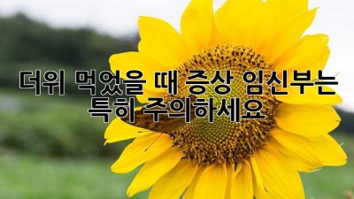 더위 먹었을 때 증상: 임신부는 특히 주의하세요!